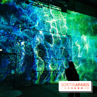 Immersive Art Festival 2019 à L'Atelier des Lumières à Paris