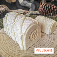 Les Bûches de Noël 2019 de Yann Couvreur