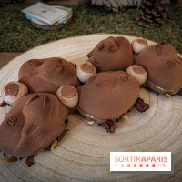 Les Bûches de Noël 2019 de Yann Couvreur