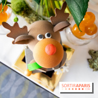 Bûche et Chocolats de Noël 2019 du Trianon Palace