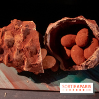 Chocolats de Noël 2019 de Patrick Roger 