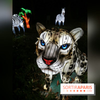 Thoiry Lumières Sauvages 2019 - photos 