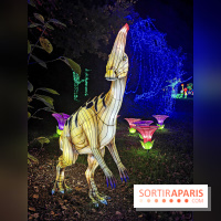 Thoiry Lumières Sauvages 2019 - photos 