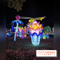 Thoiry Lumières Sauvages 2019 - photos 