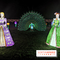 Thoiry Lumières Sauvages 2019 - photos 