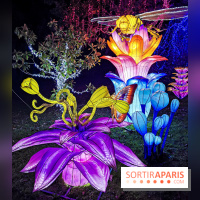 Thoiry Lumières Sauvages 2019 - photos 