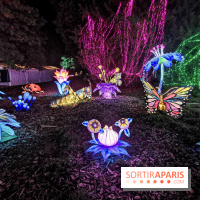 Thoiry Lumières Sauvages 2019 - photos 