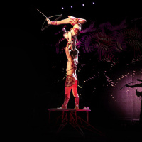 Cirque Phénix Nomades 2019