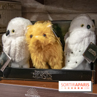 Wizarding World, la boutique officielle Harry Potter au Village JouéClub de Paris