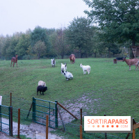 Campanile Val de France : nos photos