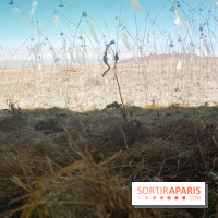 Christian Boltanski, Animitas Chili, 2014