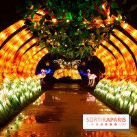 Océan en voie d'illumination : nos photos