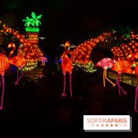 Océan en voie d'illumination : nos photos