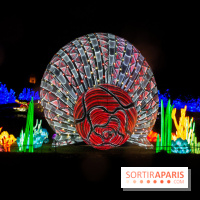 Océan en voie d'illumination : nos photos