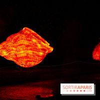 Océan en voie d'illumination : nos photos