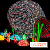 Océan en voie d'illumination : nos photos