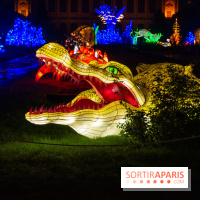 Océan en voie d'illumination : nos photos