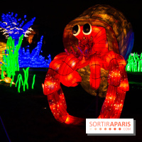 Océan en voie d'illumination : nos photos