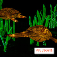 Océan en voie d'illumination : nos photos