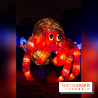 Océan en voie d'illumination : nos photos