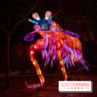 Océan en voie d'illumination : nos photos