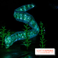 Océan en voie d'illumination : nos photos