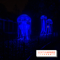 Océan en voie d'illumination : nos photos