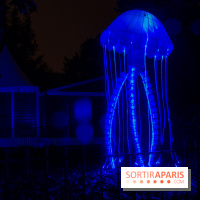 Océan en voie d'illumination : nos photos