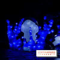 Océan en voie d'illumination : nos photos