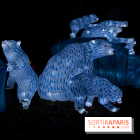 Océan en voie d'illumination : nos photos