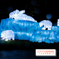 Océan en voie d'illumination : nos photos