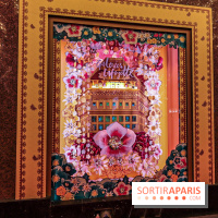 Vitrines et sapin de Noël au Galeries Lafayettes 2019 avec Virginie Efira - photos 