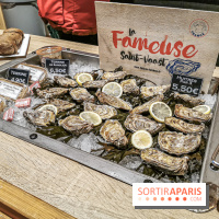 Noel au Parc Astérix 2019