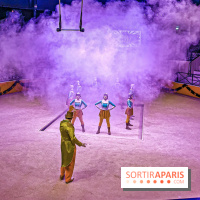 Noel au Parc Astérix, Quel Cirque !