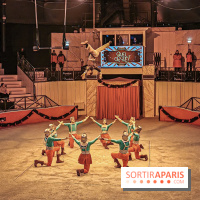 Noel au Parc Astérix, Quel Cirque !