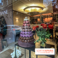 La Café Pavane par Manon Hévin