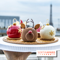 La bûche de Noel de Candy Paradis 2019