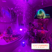 Libertino, le restaurant italien Big Mamma - les photos