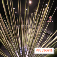 Black Bamboo de Nils-Udo à la Fondation EDF