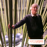 Black Bamboo de Nils-Udo à la Fondation EDF