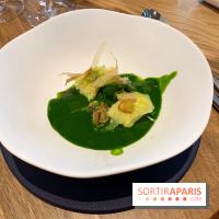 Origines - Julien Boscus 