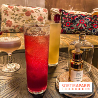 Rehab, le bar à cocktails au CBD à Paris