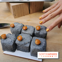 Pavé de Quentin Lechat - Jardin Privé