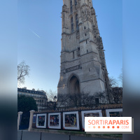 Exposition photo Tony Parker Tour Saint-Jacques 