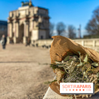 Bergamotte Kinfolk, la nouvelle collection de fleurs séchées naturellement