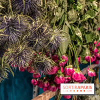 Bergamotte Kinfolk, la nouvelle collection de fleurs séchées naturellement