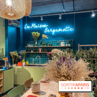 Bergamotte Kinfolk, la nouvelle collection de fleurs séchées naturellement