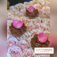 Pâtisseries véganes signée Pierre Hermé x La Maison du Chocolat