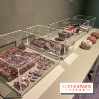 Les contes étranges de Niels Hansen Jacobsen au Musée Bourdelle, les photos