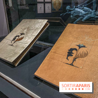 Les contes étranges de Niels Hansen Jacobsen au Musée Bourdelle, les photos